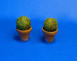 Boxwood ball